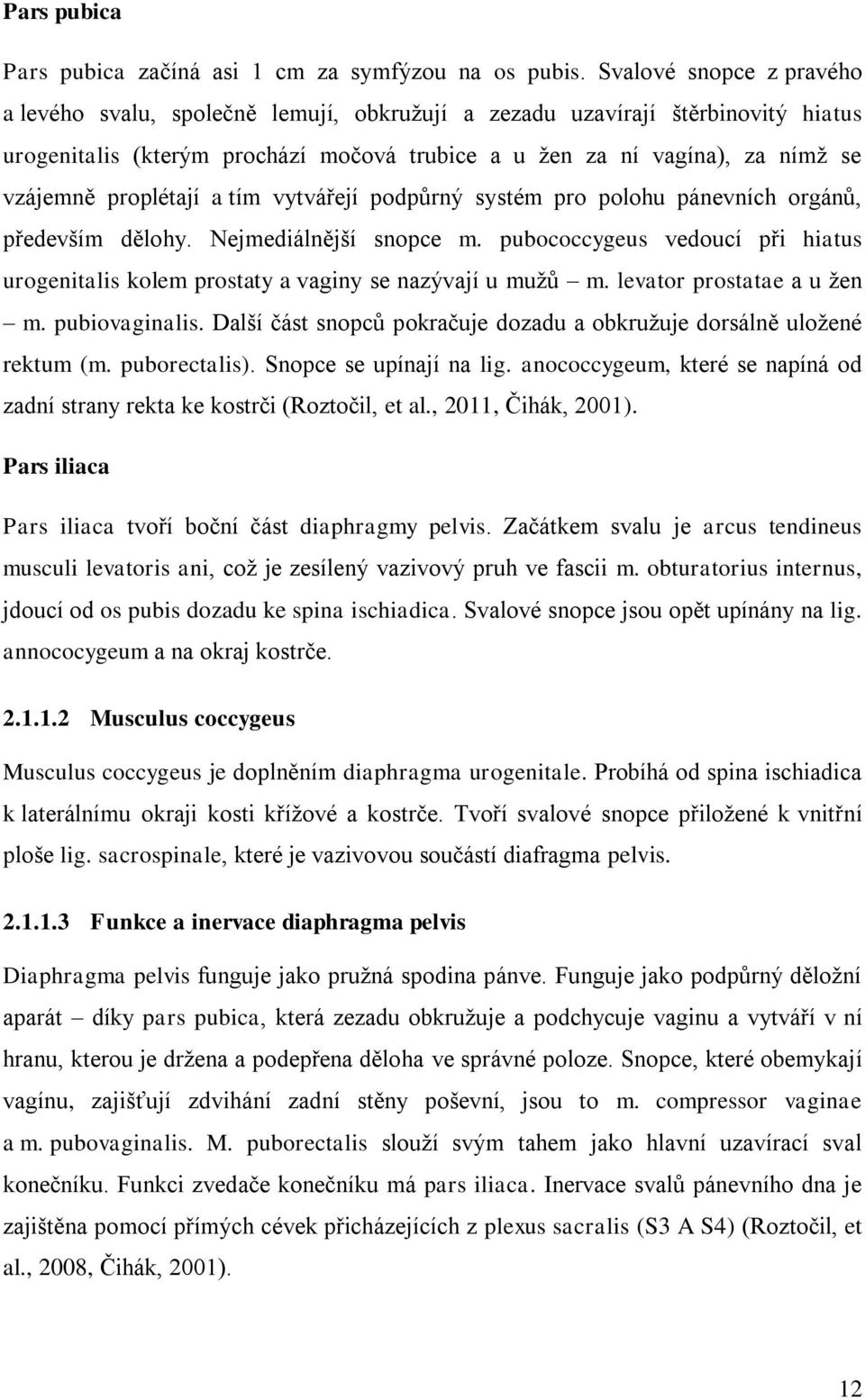 proplétají a tím vytvářejí podpůrný systém pro polohu pánevních orgánů, především dělohy. Nejmediálnější snopce m.