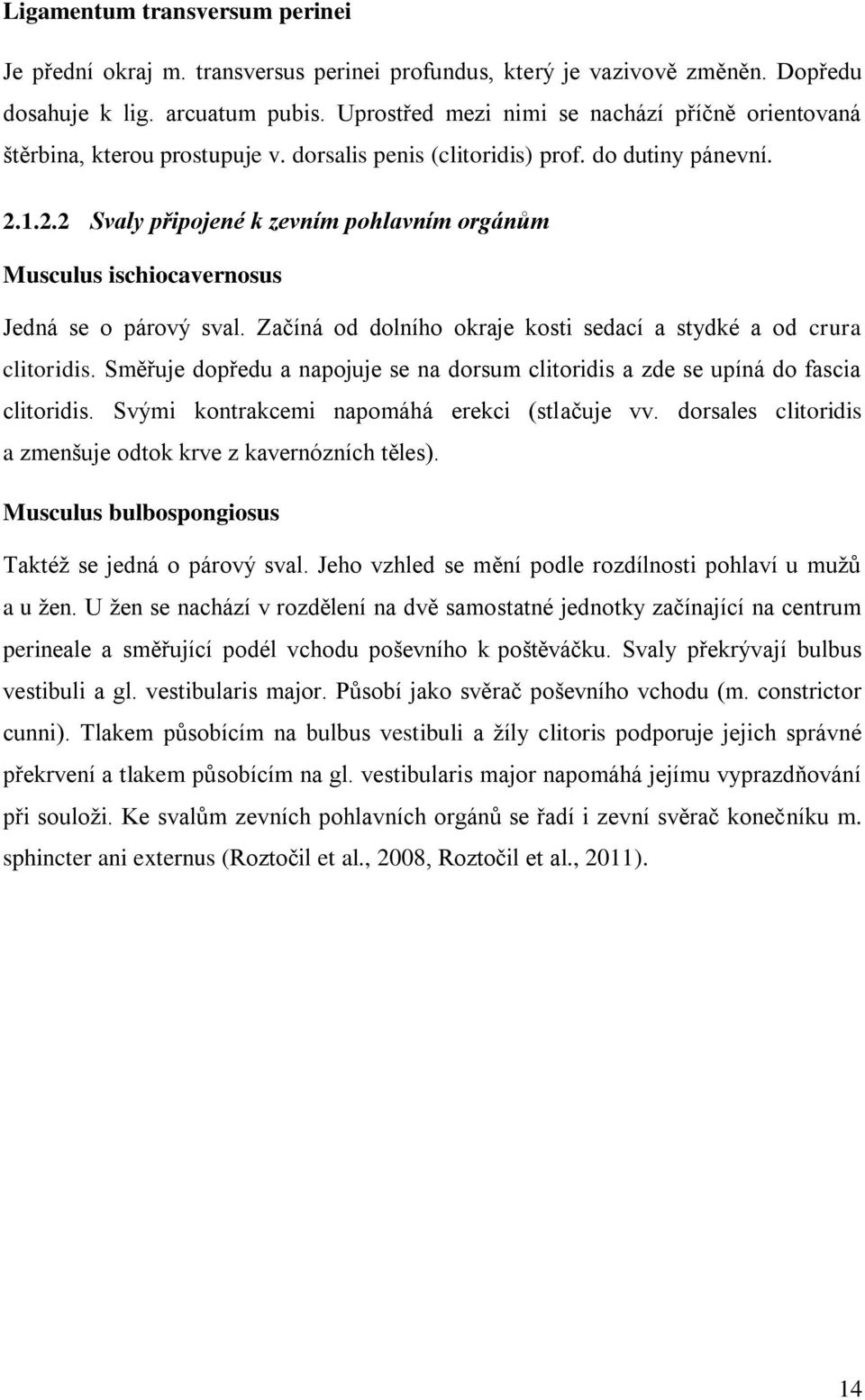 1.2.2 Svaly připojené k zevním pohlavním orgánům Musculus ischiocavernosus Jedná se o párový sval. Začíná od dolního okraje kosti sedací a stydké a od crura clitoridis.