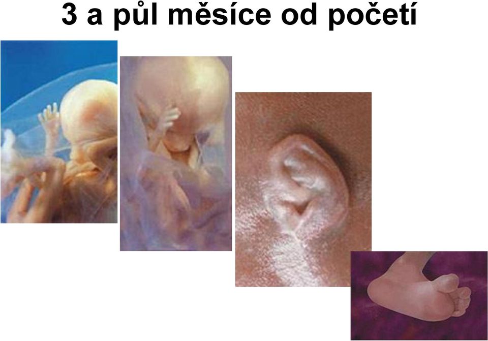 početí