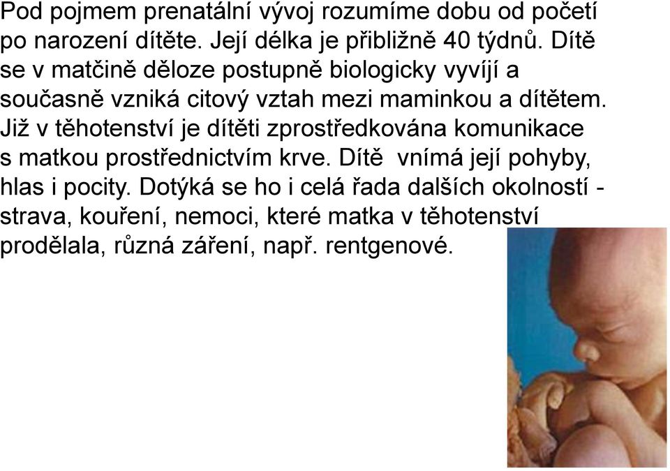 Již v těhotenství je dítěti zprostředkována komunikace s matkou prostřednictvím krve.