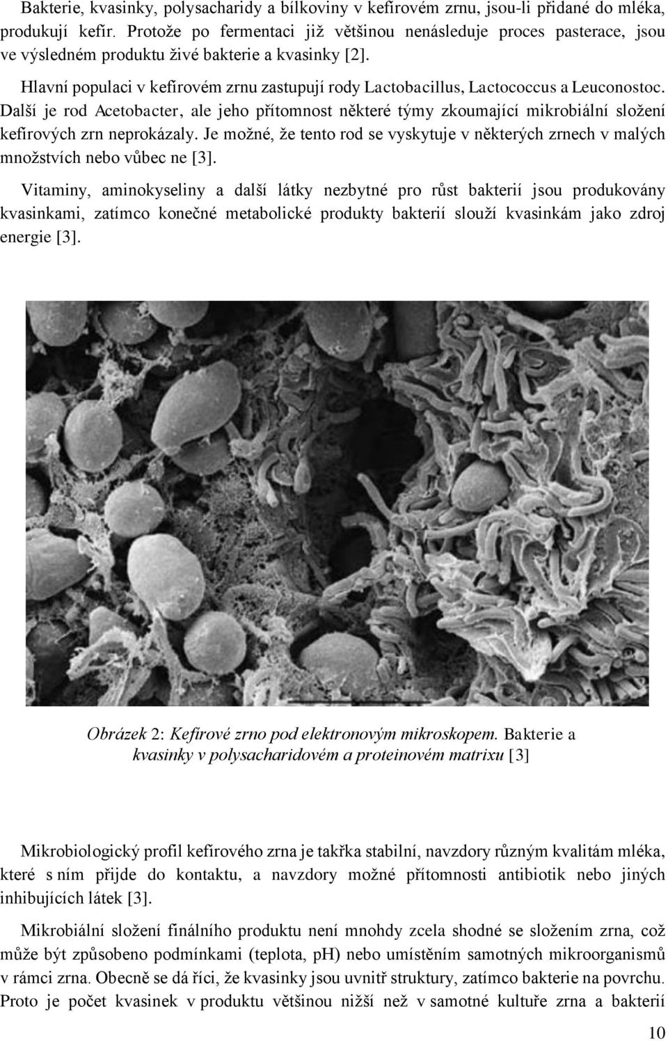 Hlavní populaci v kefírovém zrnu zastupují rody Lactobacillus, Lactococcus a Leuconostoc.