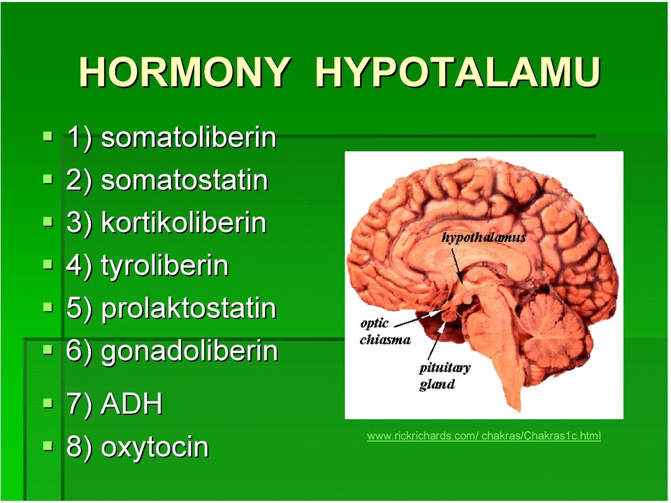 5) prolaktostatin 6) gonadoliberin 7) ADH 8)