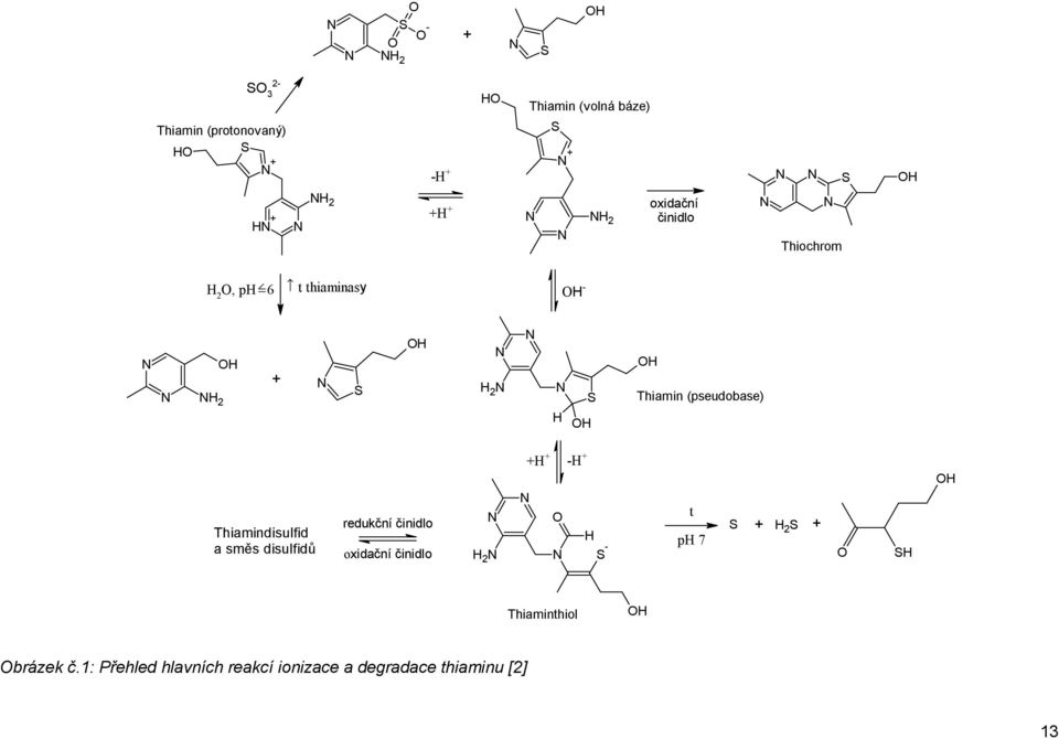 S OH Thiamin (pseudobase) Thiamindisulfid a směs disulfidů redukční činidlo oxidační činidlo N +H + -H + N O H H 2 N N