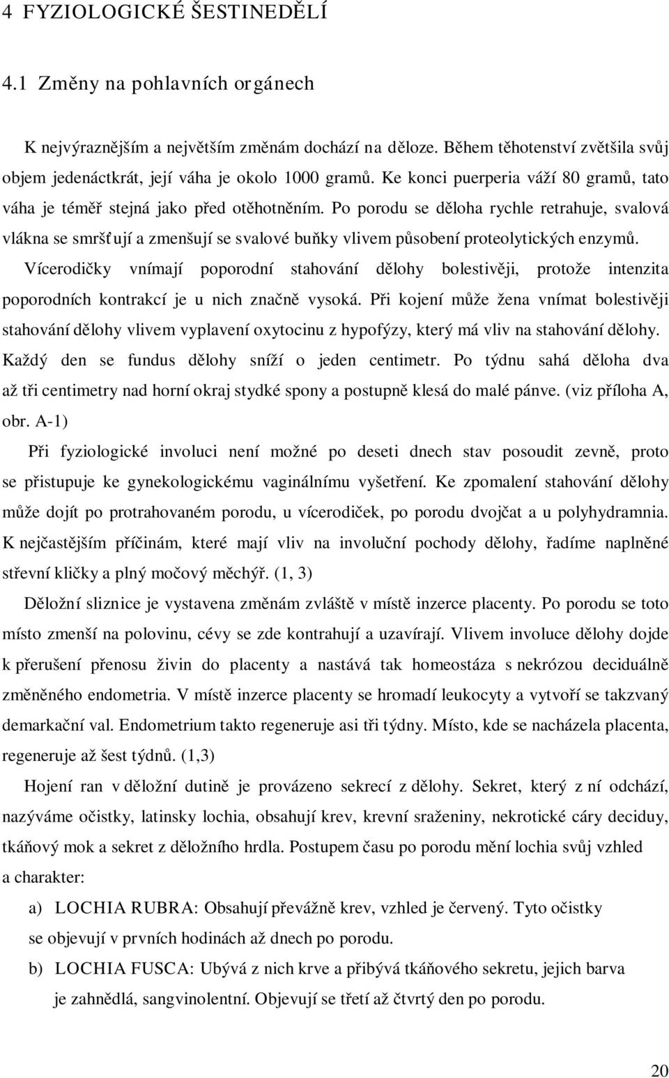 Po porodu se děloha rychle retrahuje, svalová vlákna se smršťují a zmenšují se svalové buňky vlivem působení proteolytických enzymů.