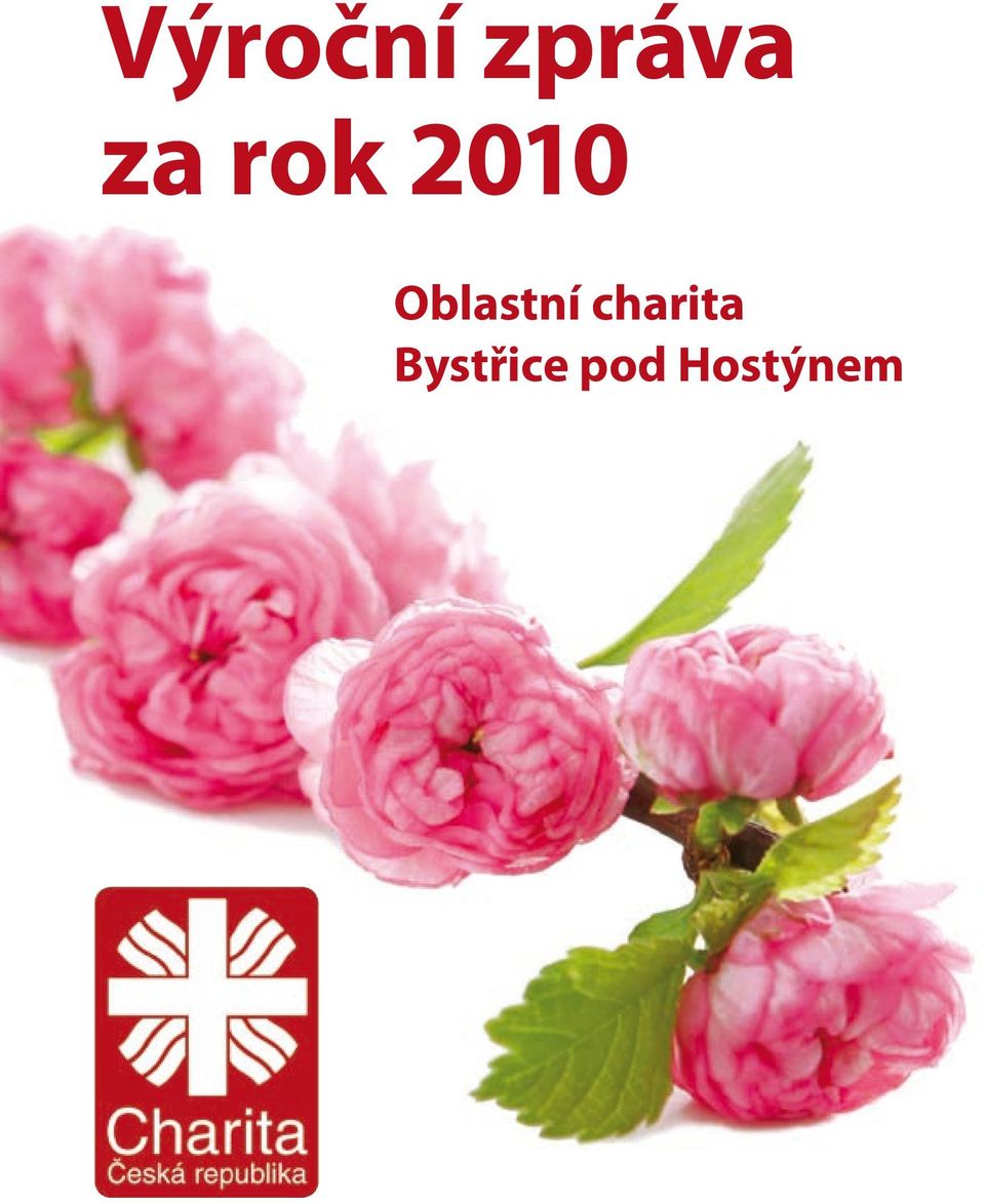 Oblastní charita