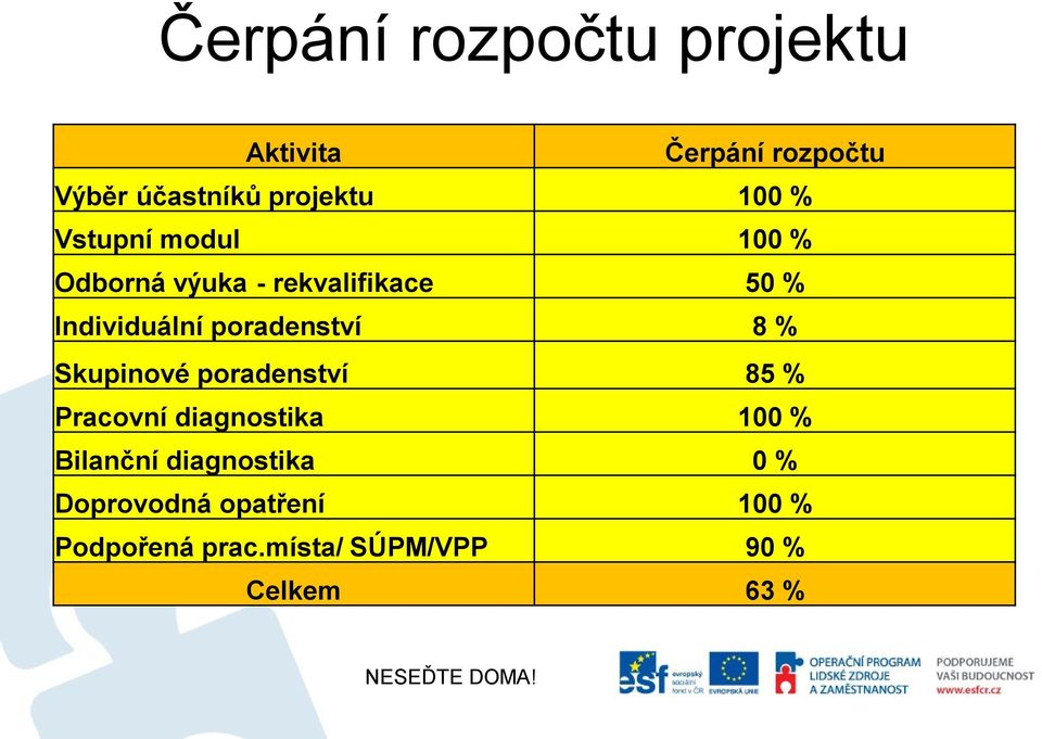 poradenství 8 % Skupinové poradenství 85 % Pracovní diagnostika 100 % Bilanční