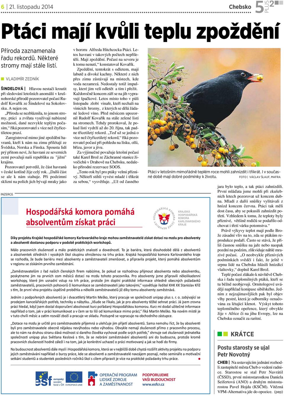 Příroda se nezbláznila, to jenom stromy, ptáci azvířata využívají nabízené možnosti, dané nezvykle teplým počasím, říká pozorovatel svíce než čtyřicetiletou praxí.