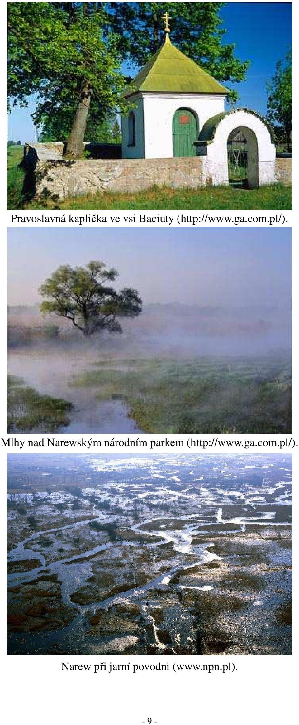 Mlhy nad Narewským národním parkem 
