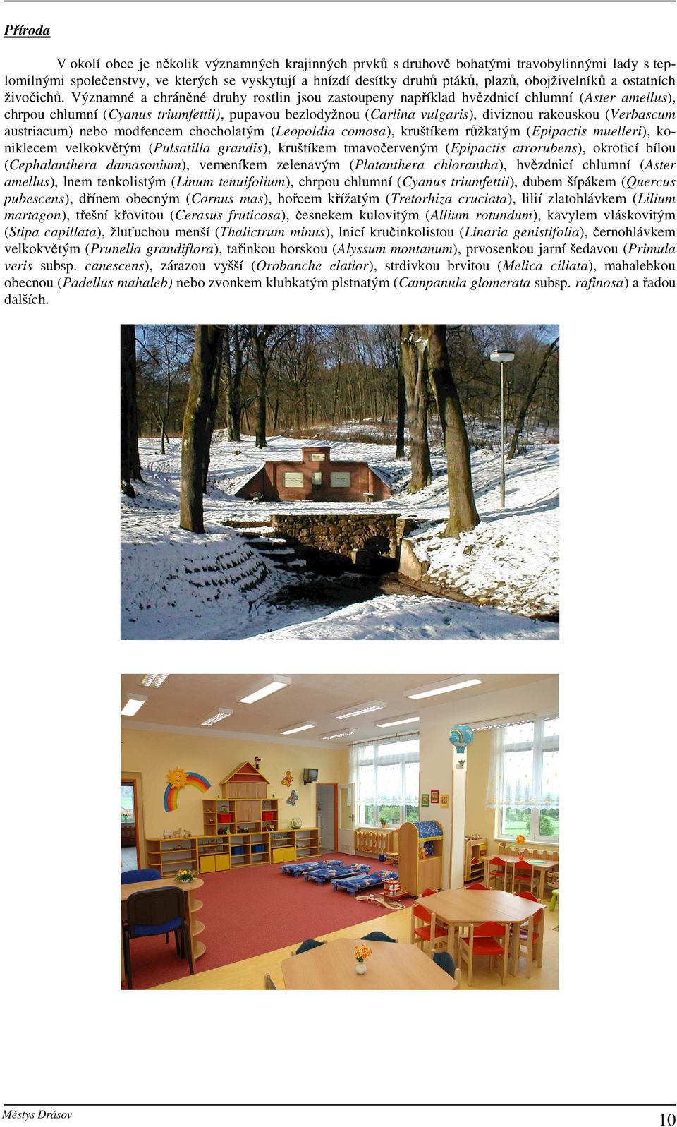 Významné a chráněné druhy rostlin jsou zastoupeny například hvězdnicí chlumní (Aster amellus), chrpou chlumní (Cyanus triumfettii), pupavou bezlodyžnou (Carlina vulgaris), diviznou rakouskou
