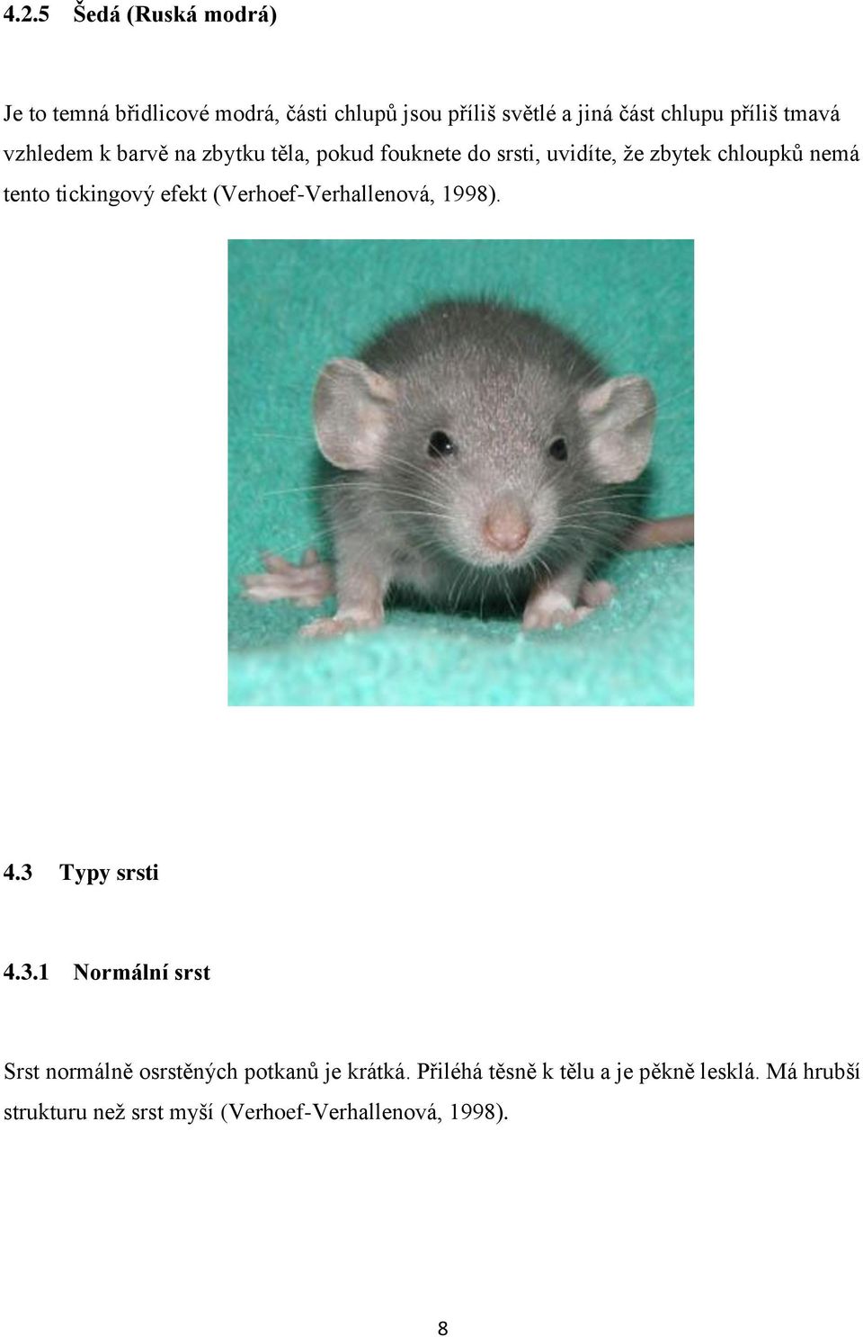 tickingový efekt (Verhoef-Verhallenová, 1998). 4.3 Typy srsti 4.3.1 Normální srst Srst normálně osrstěných potkanů je krátká.