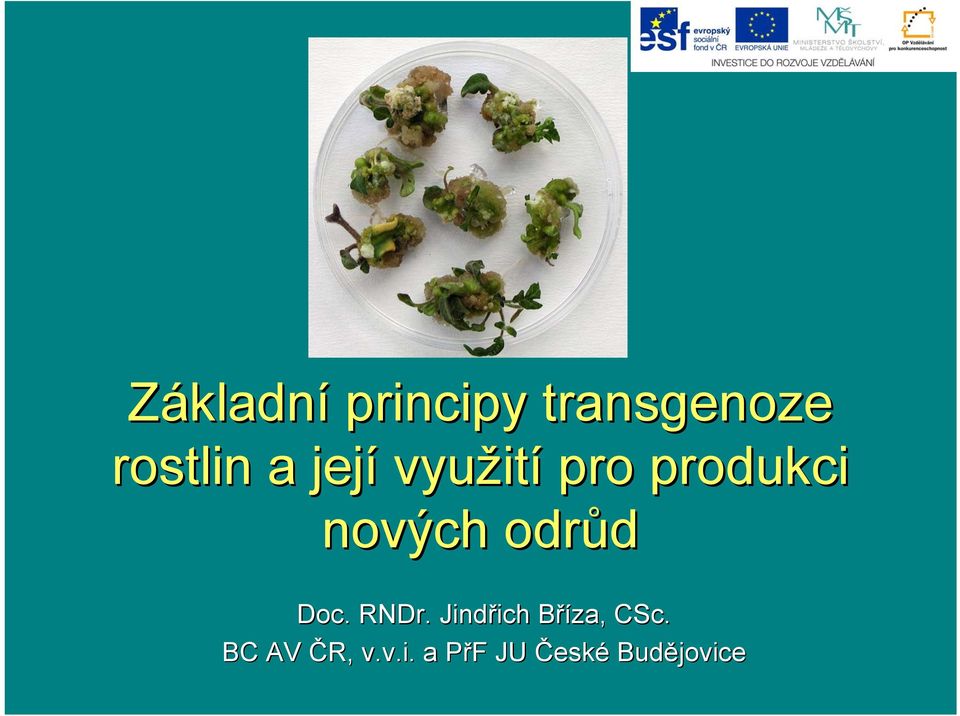 odrůd Doc. RNDr.
