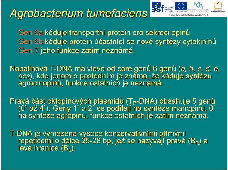 je neznámá. Pravá část oktopinových plasmidů (T R -DNA) obsahuje 5 genů (0` aža 4`).