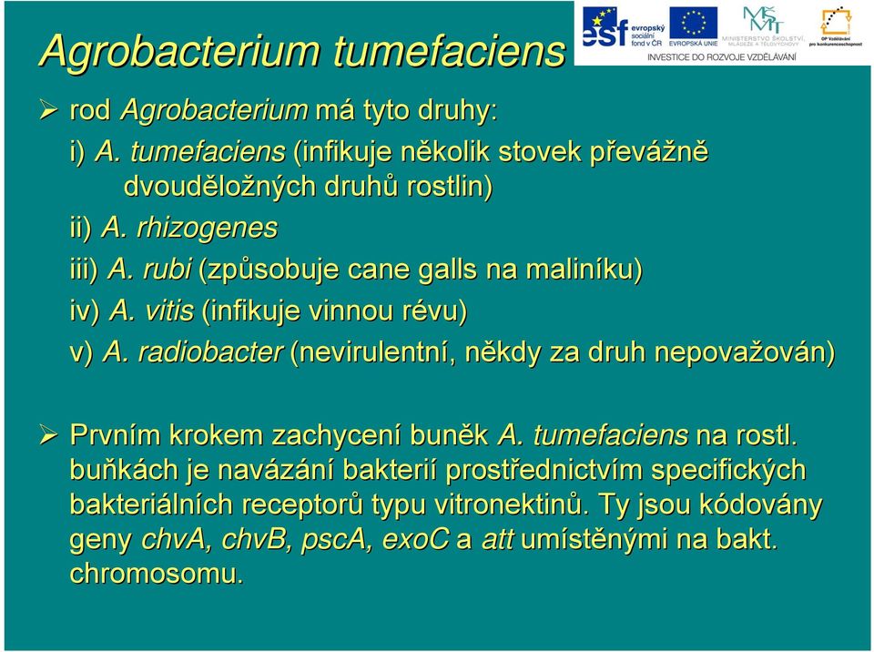 rubi (způsobuje cane galls na maliníku) iv) A. vitis (infikuje vinnou révu) r v) A.