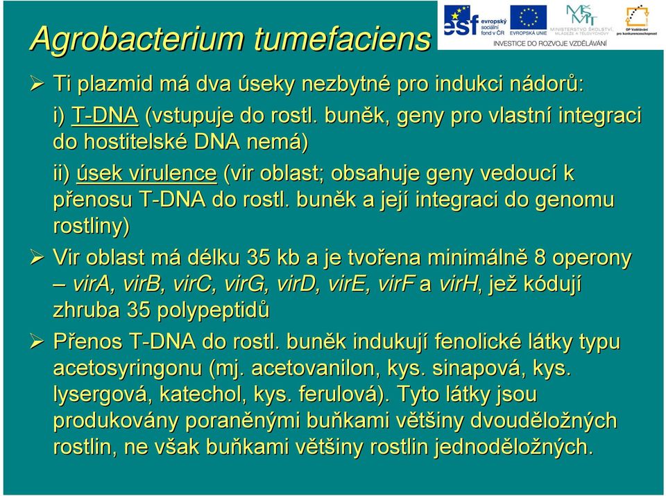 buněk k a její integraci do genomu rostliny) Vir oblast mám délku 35 kb a je tvořena minimáln lně 8 operony vira, virb, virc, virg, vird, vire, virf a virh,, jež kódují zhruba 35