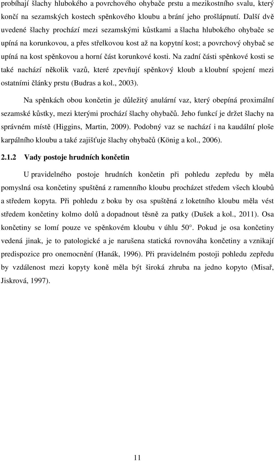 a horní část korunkové kosti. Na zadní části spěnkové kosti se také nachází několik vazů, které zpevňují spěnkový kloub a kloubní spojení mezi ostatními články prstu (Budras a kol., 2003).