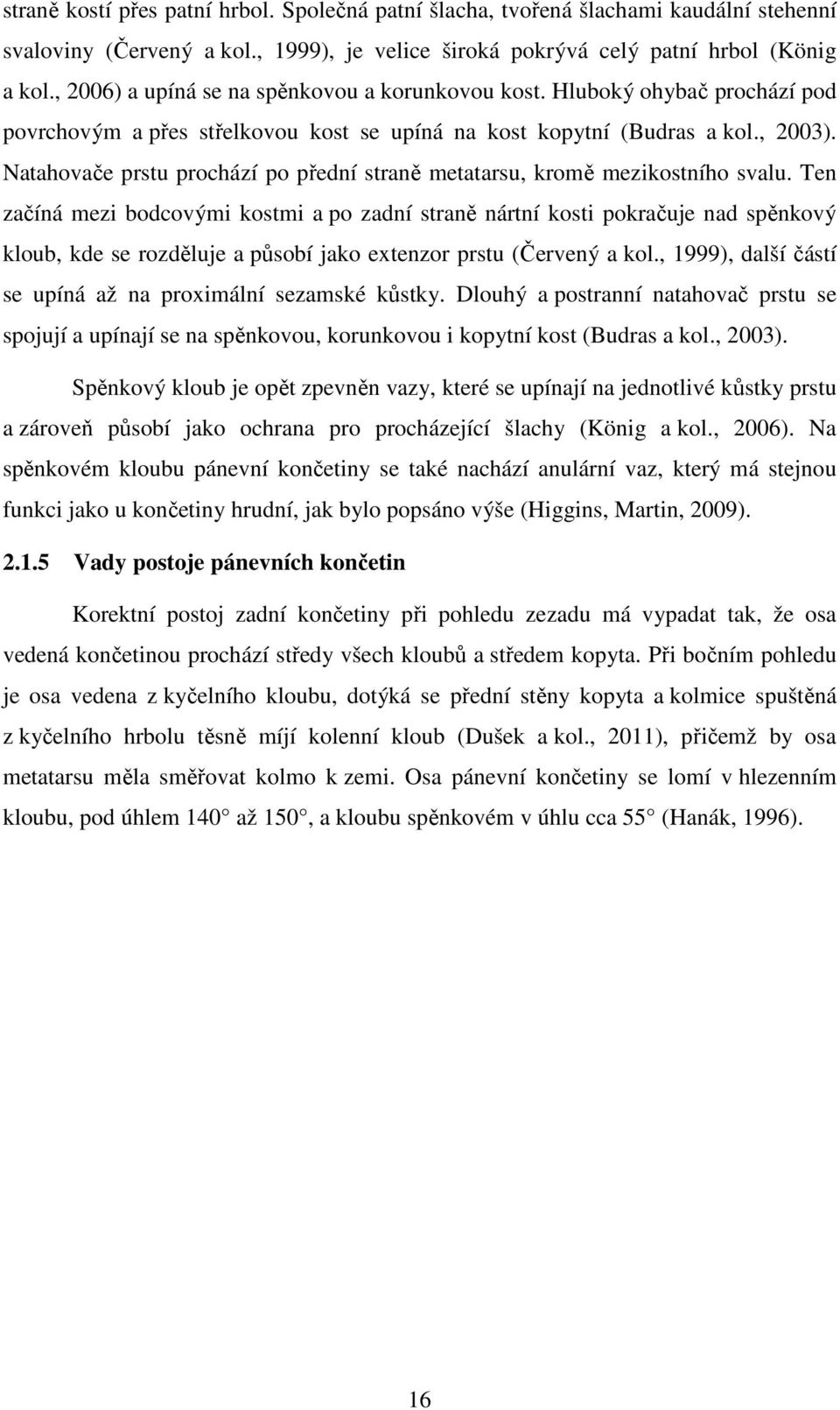 Natahovače prstu prochází po přední straně metatarsu, kromě mezikostního svalu.