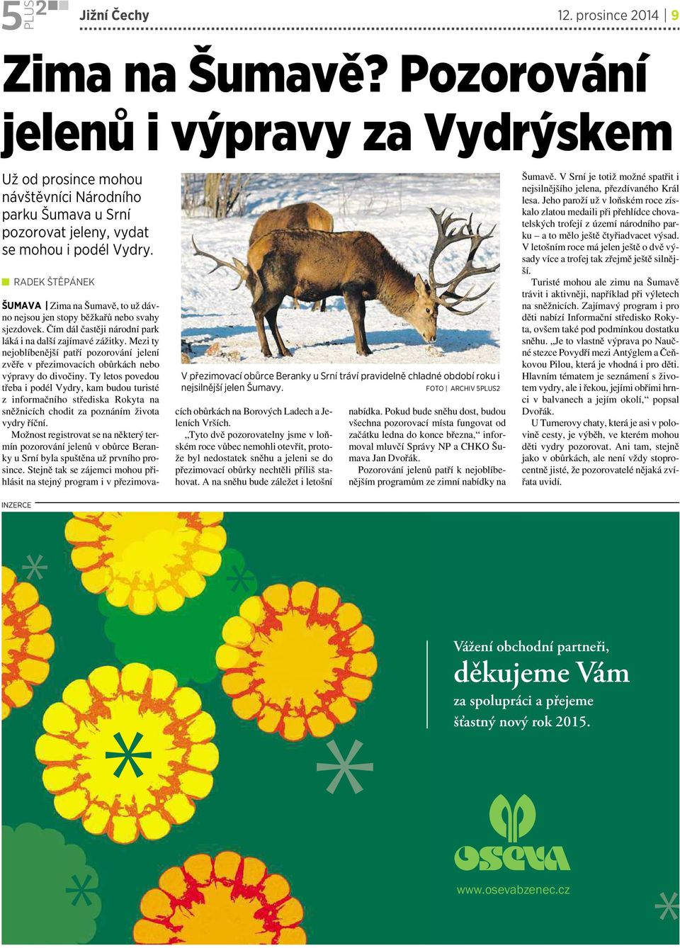 FOTO ARCHIV 5PLUS2 ŠUMAVA Zima na Šumavě, to už dávno nejsou jen stopy běžkařů nebo svahy sjezdovek. Čím dál častěji národní park láká i nadalší zajímavé zážitky.