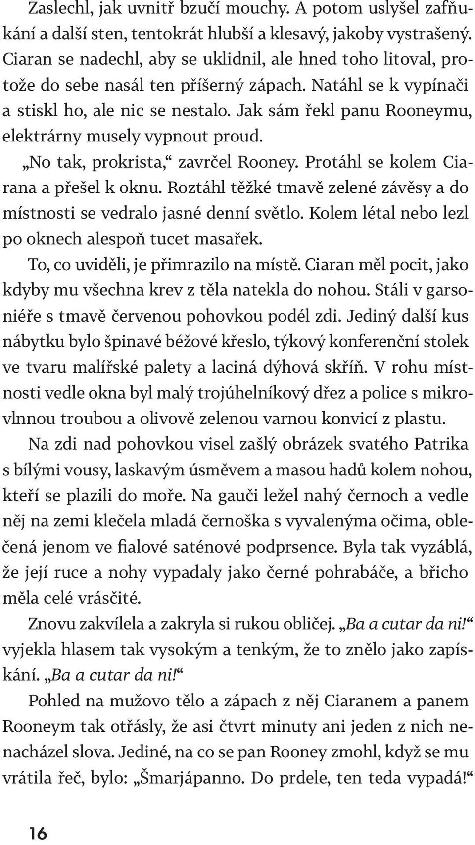 Jak sám řekl panu Rooneymu, elektrárny musely vypnout proud. No tak, prokrista, zavrčel Rooney. Protáhl se kolem Ciarana a přešel k oknu.