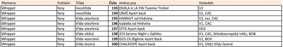 CAC Whippet feny třída otevřená 196 Isabella od Hněvína V1, CAC Whippet feny třída otevřená 197 STYX Ayort back VD3 Whippet feny