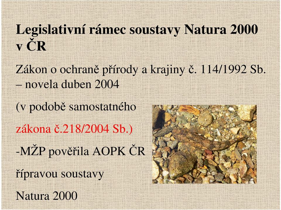 novela duben 2004 (v podobě samostatného zákona č.