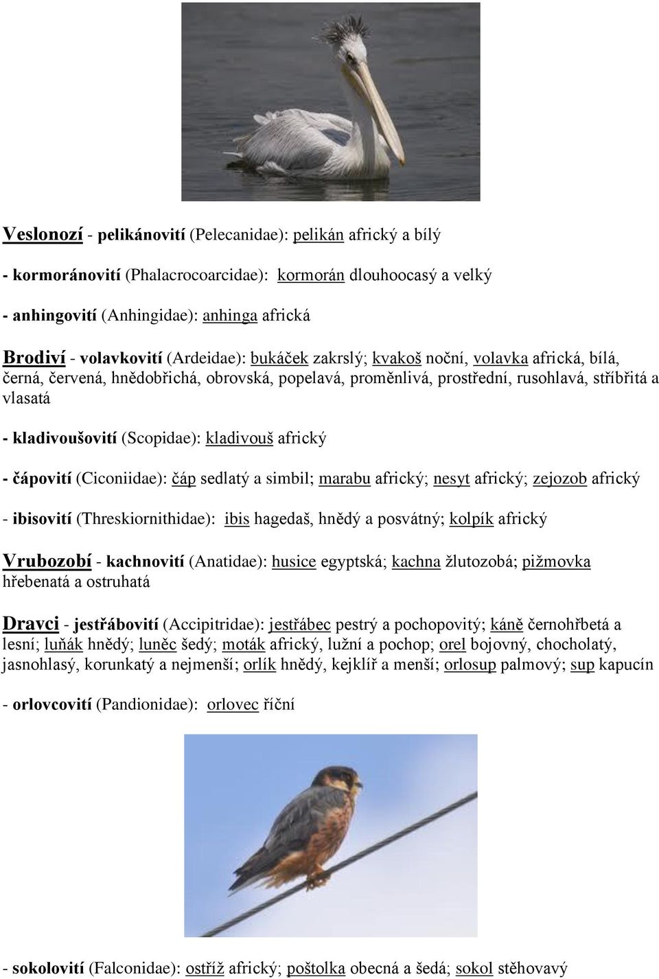 kladivouš africký - čápovití (Ciconiidae): čáp sedlatý a simbil; marabu africký; nesyt africký; zejozob africký - ibisovití (Threskiornithidae): ibis hagedaš, hnědý a posvátný; kolpík africký
