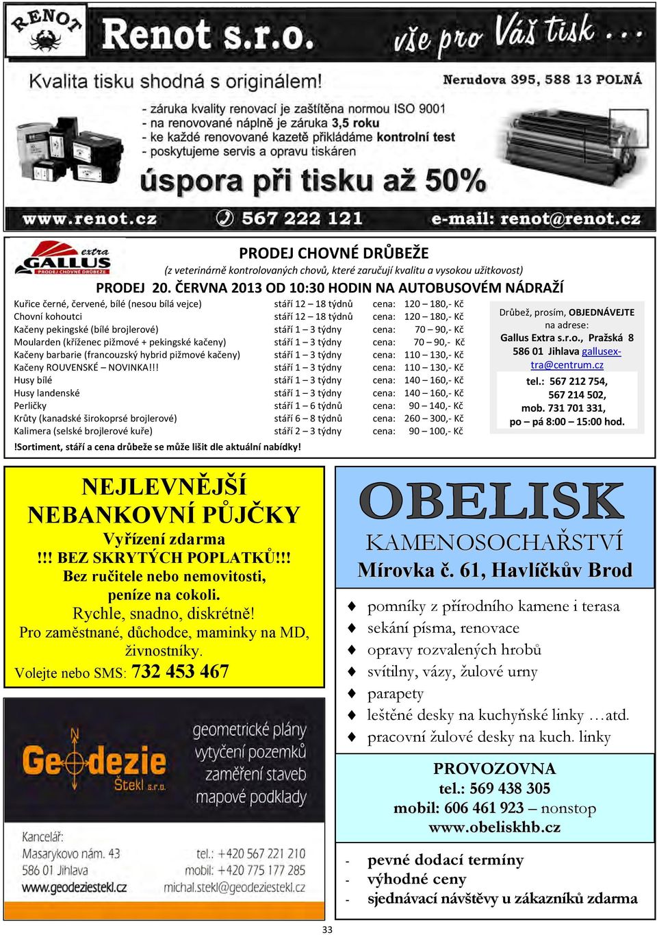 pekingské (bílé brojlerové) stáří 1 3 týdny cena: 70 90,- Kč Moularden (kříženec pižmové + pekingské kačeny) stáří 1 3 týdny cena: 70 90,- Kč Kačeny barbarie (francouzský hybrid pižmové kačeny) stáří