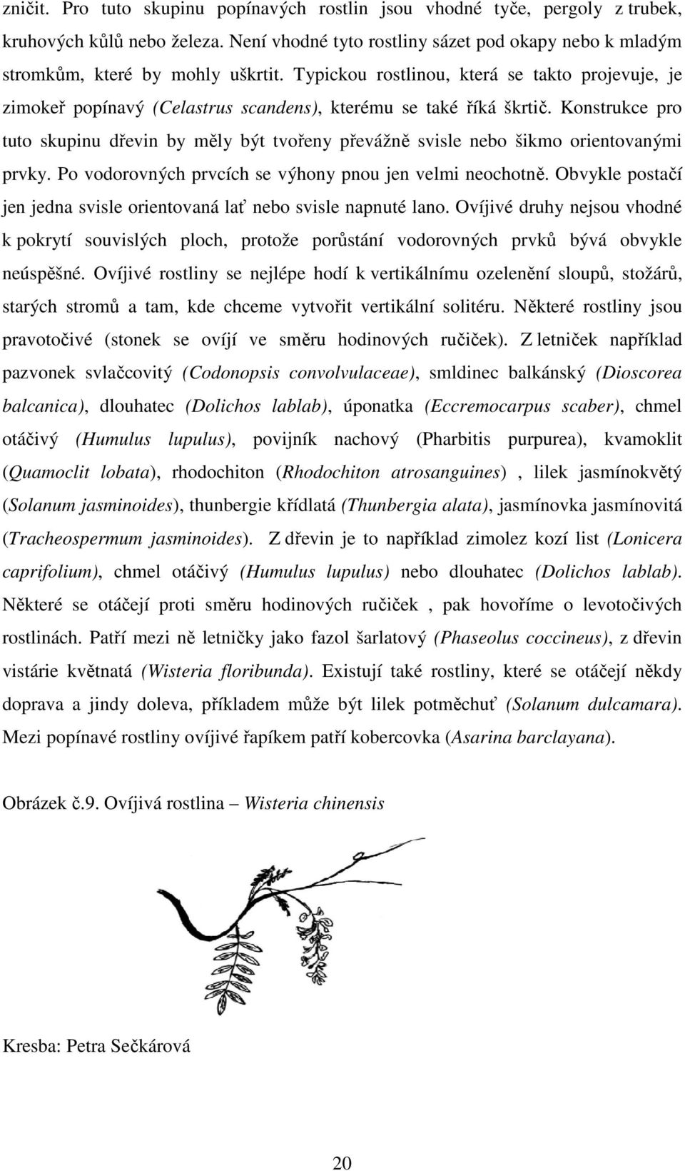 Konstrukce pro tuto skupinu dřevin by měly být tvořeny převážně svisle nebo šikmo orientovanými prvky. Po vodorovných prvcích se výhony pnou jen velmi neochotně.