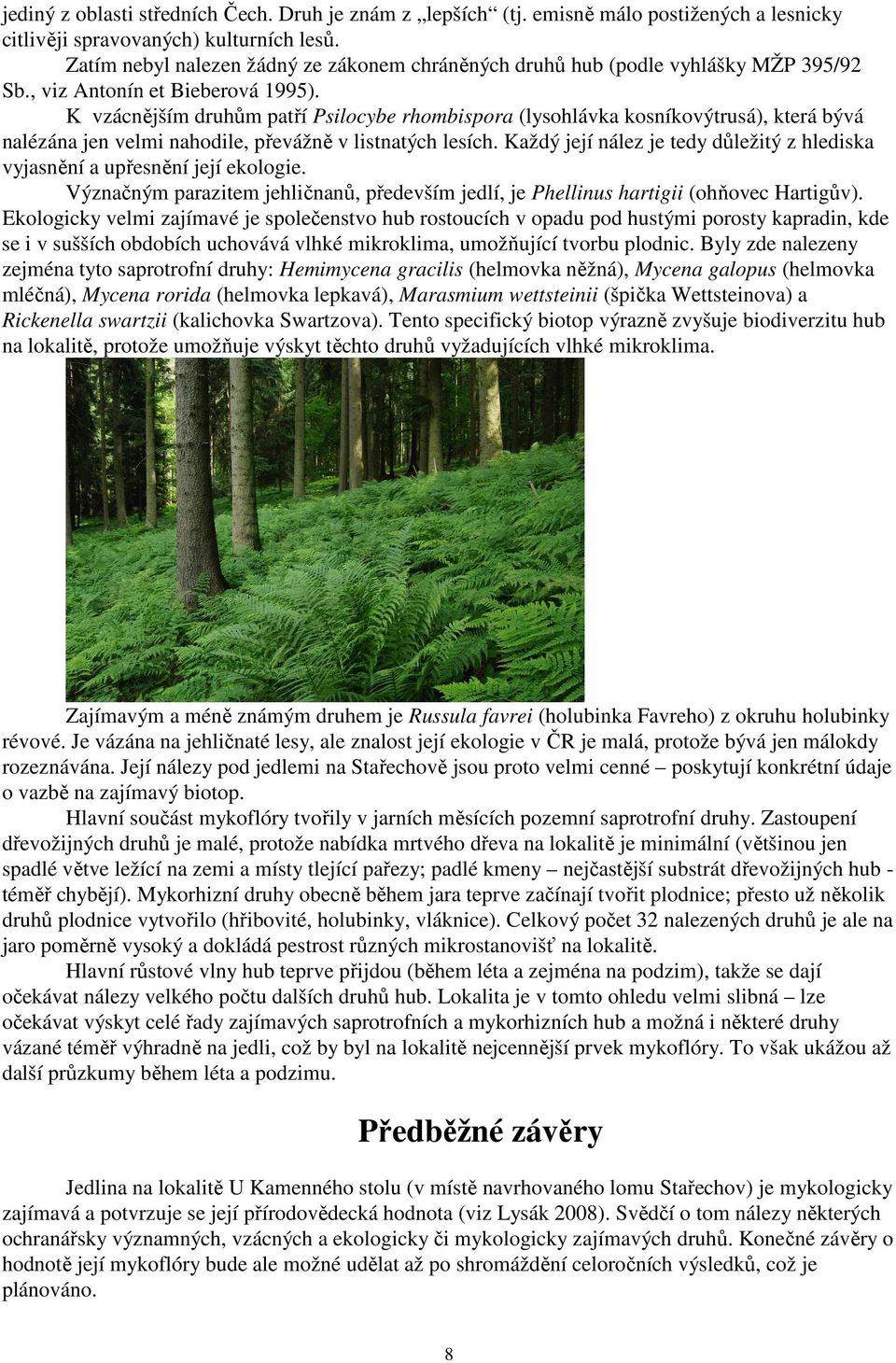 K vzácnějším druhům patří Psilocybe rhombispora (lysohlávka kosníkovýtrusá), která bývá nalézána jen velmi nahodile, převážně v listnatých lesích.