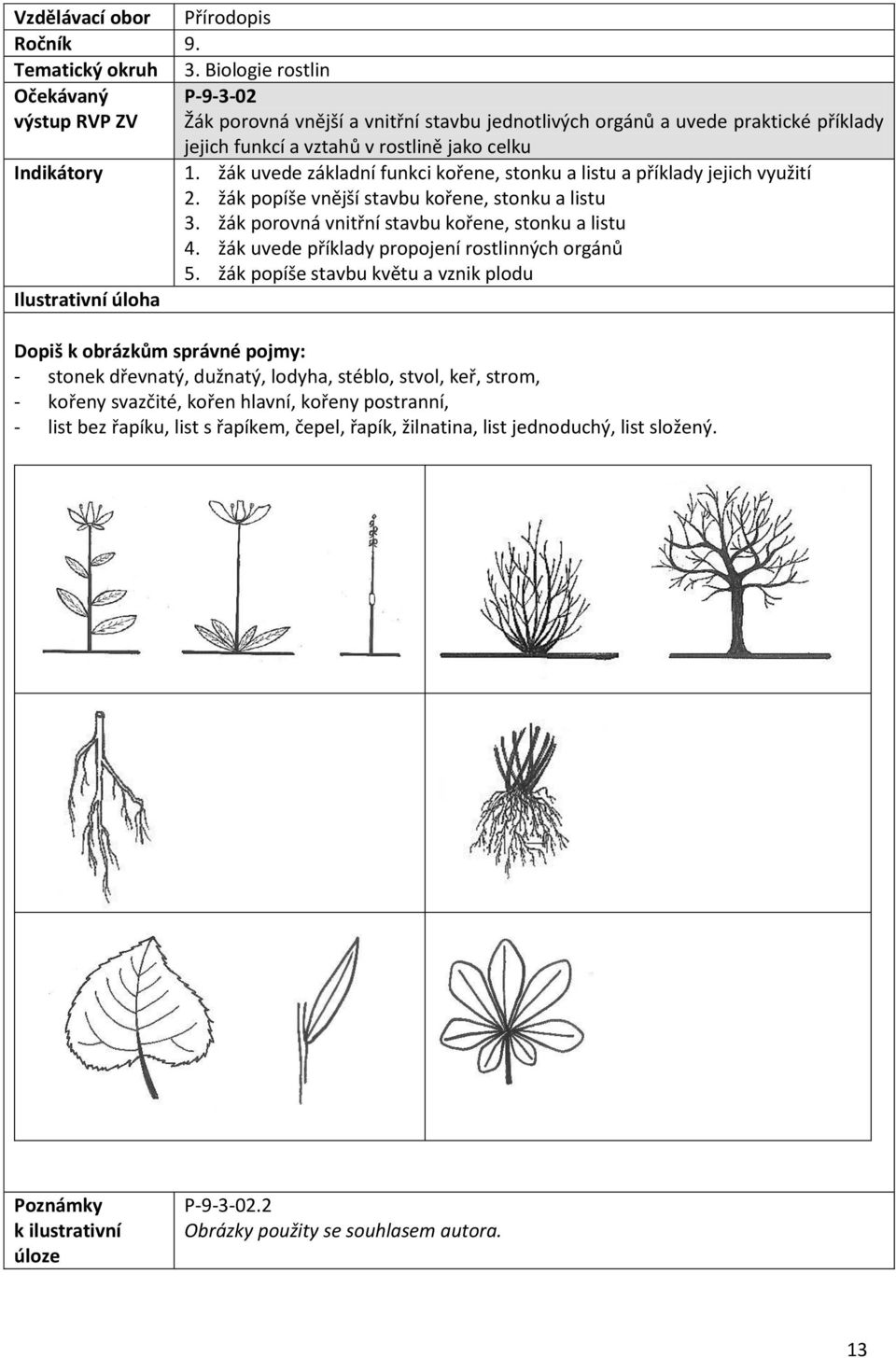 žák uvede základní funkci kořene, stonku a listu a příklady jejich využití 2. žák popíše vnější stavbu kořene, stonku a listu 3. žák porovná vnitřní stavbu kořene, stonku a listu 4.