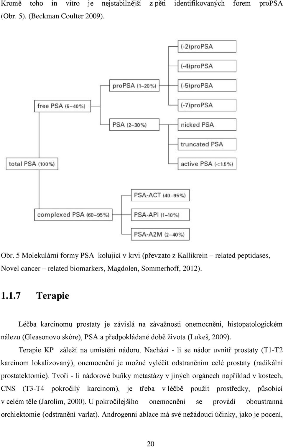 ). 1.1.7 Terapie Léčba karcinomu prostaty je závislá na závažnosti onemocnění, histopatologickém nálezu (Gleasonovo skóre), PSA a předpokládané době života (Lukeš, 2009).