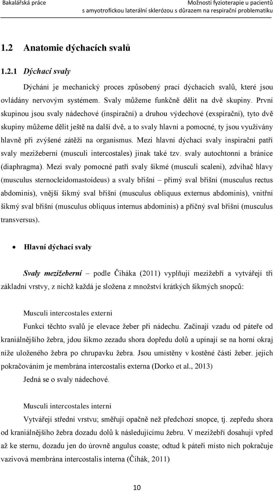 zátěži na organismus. Mezi hlavní dýchací svaly inspirační patří svaly mezižeberní (musculi intercostales) jinak také tzv. svaly autochtonní a bránice (diaphragma).