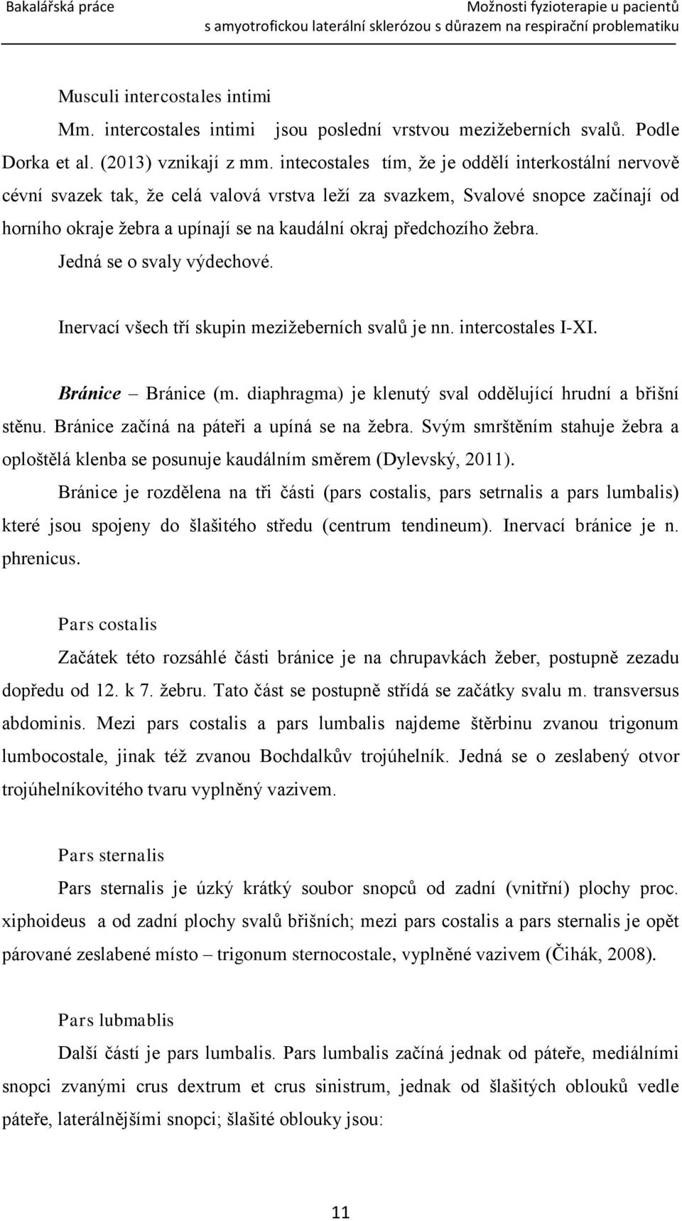 předchozího žebra. Jedná se o svaly výdechové. Inervací všech tří skupin mezižeberních svalů je nn. intercostales I-XI. Bránice Bránice (m.