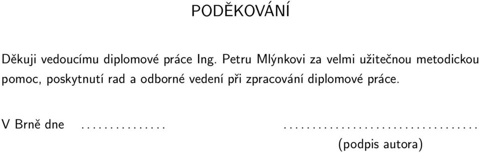 poskytnutí rad a odborné vedení při zpracování diplomové