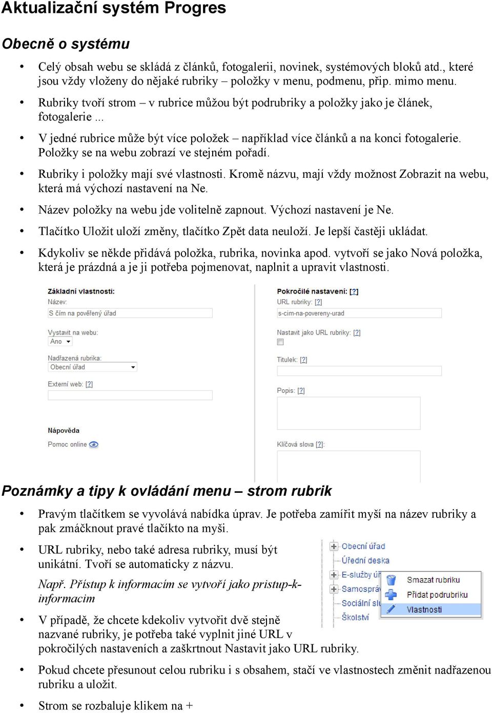 Položky se na webu zobrazí ve stejném pořadí. Rubriky i položky mají své vlastnosti. Kromě názvu, mají vždy možnost Zobrazit na webu, která má výchozí nastavení na Ne.
