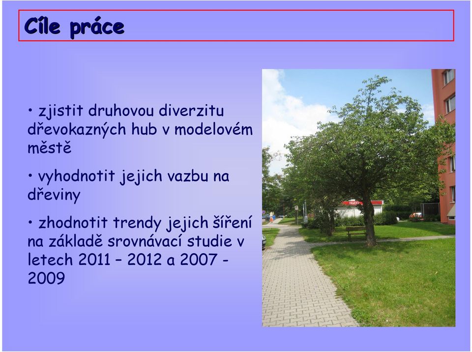 jejich vazbu na dřeviny zhodnotit trendy jejich