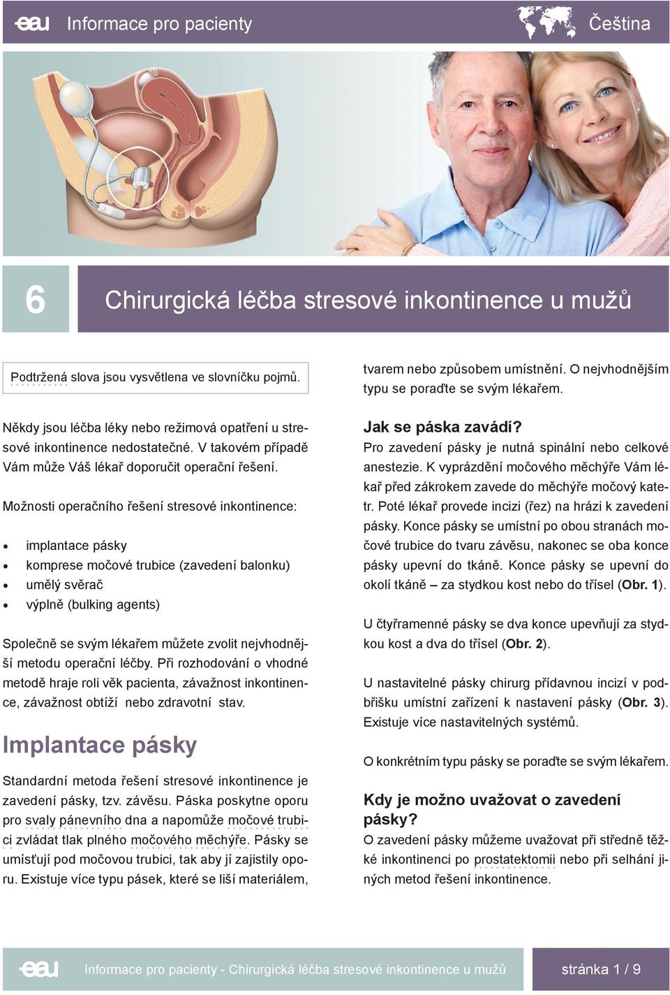 Chirurgická léčba stresové inkontinence u mužů - PDF Free Download