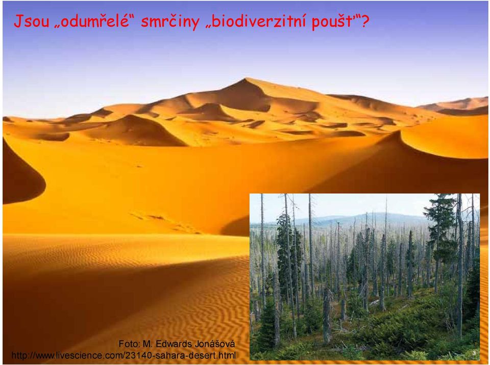 Edwards Jonášová http://www.