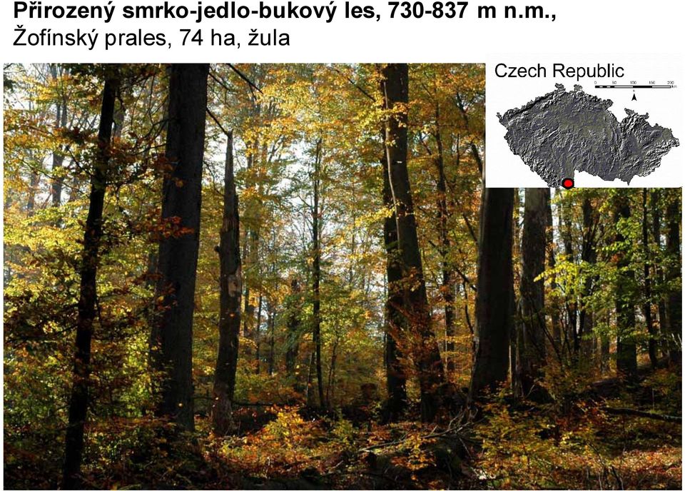 les, 730-837 m 