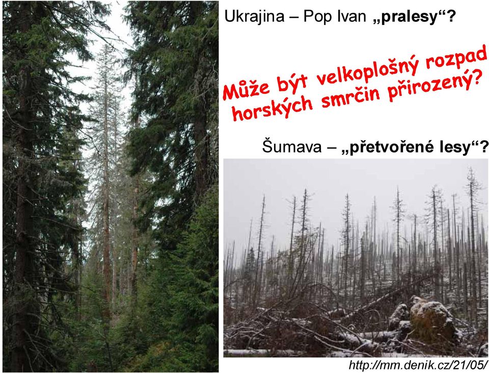 Šumava přetvořené