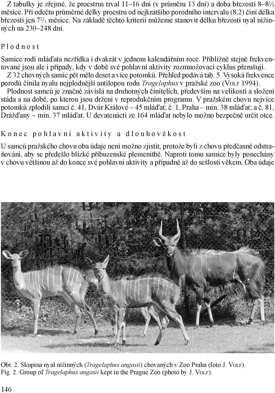 Na základě těchto kriterií můžeme stanovit délku březosti nyal nížinných na 230 248 dní. P l o d n o s t Samice rodí mláďata nezřídka i dvakrát v jednom kalendářním roce.