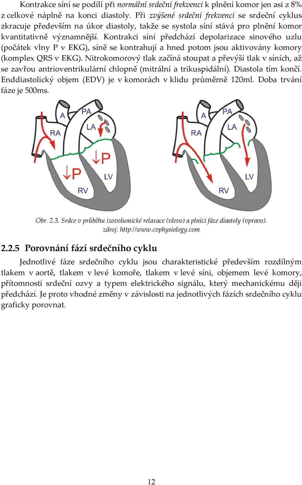 Kontrakci síní předchází depolarizace sinového uzlu (počátek vlny P v EKG), síně se kontrahují a hned potom jsou aktivovány komory (komplex QRS v EKG).