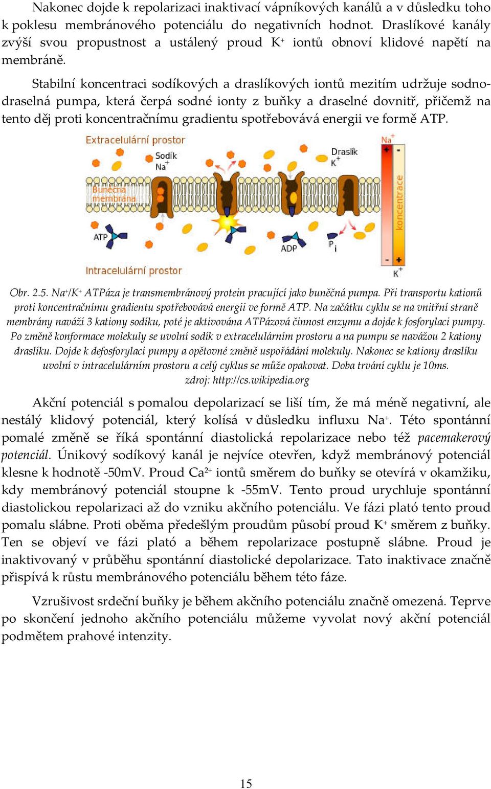 Stabilní koncentraci sodíkových a draslíkových iontů mezitím udržuje sodnodraselná pumpa, která čerpá sodné ionty z buňky a draselné dovnitř, přičemž na tento děj proti koncentračnímu gradientu