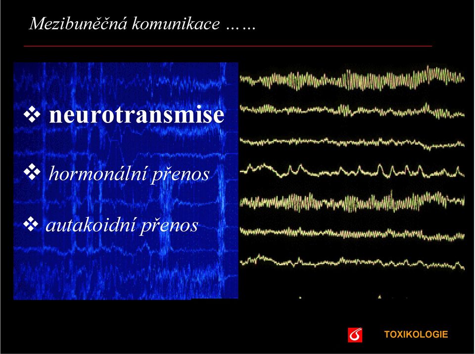 neurotransmise