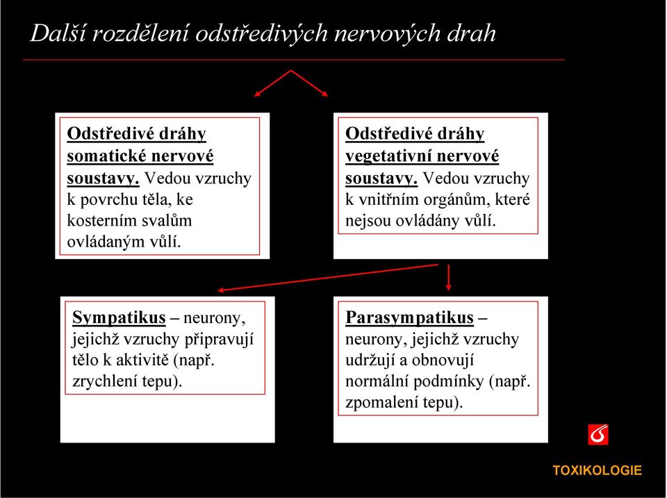 Vedou vzruchy k vnitřním orgánům, které nejsou ovládány vůlí.