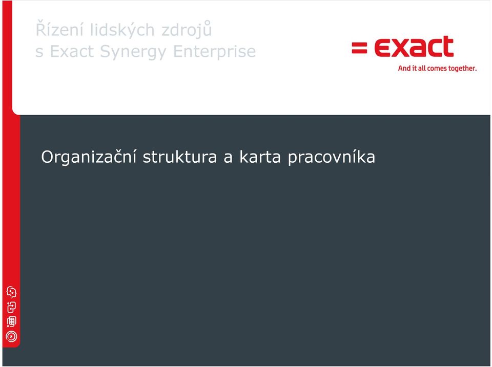 Enterprise Organizační