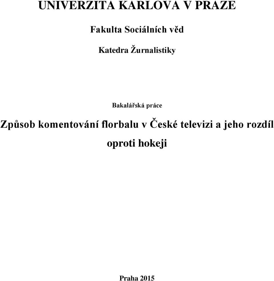 Bakalářská práce Způsob komentování