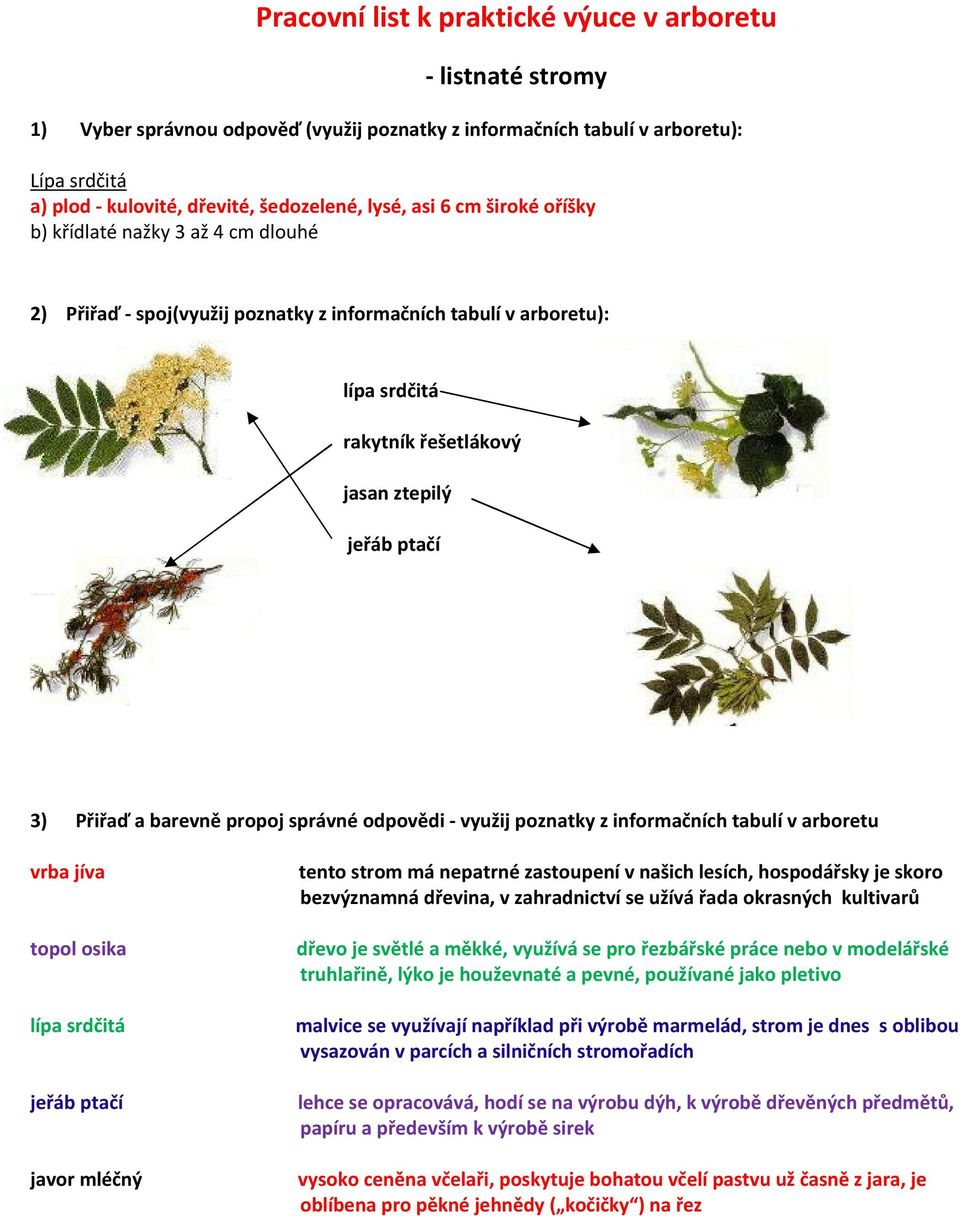 odpovědi - využij poznatky z informačních tabulí v arboretu vrba jíva topol osika javor mléčný tento strom má nepatrné zastoupení v našich lesích, hospodářsky je skoro bezvýznamná dřevina, v