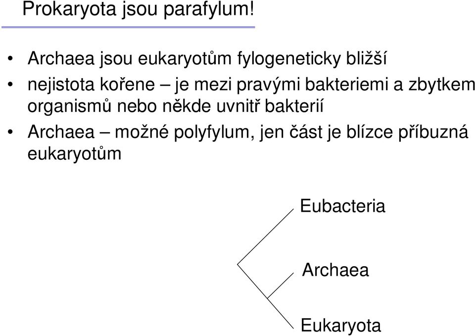 je mezi pravými bakteriemi a zbytkem organismů nebo někde