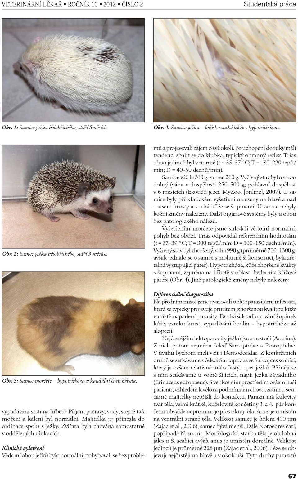 Zvíøata byla chována samostatnì v oddìlených ubikacích. Klinické vyšetøení Vìdomí obou ježkù bylo normální, pohybovali se bez problé- mù a projevovali zájem o své okolí.