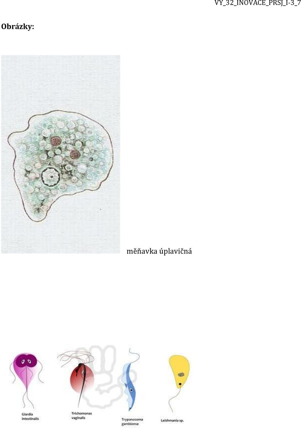 úplavičná